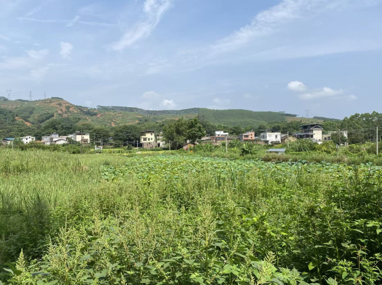 山水有根，鄉愁有聲——寫給韶關