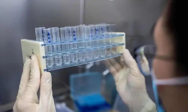 ▲在北京的一个实验室里，专家正在研制新冠疫苗。