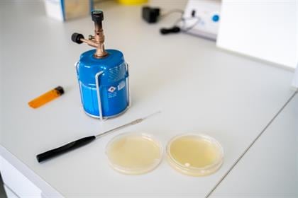 SA company that made food from bugs now wants to be first in Africa to make  dairy from a petri dish