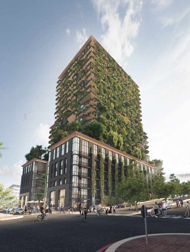 Cape Town to boast Africa&#39;s first truly biophilic building