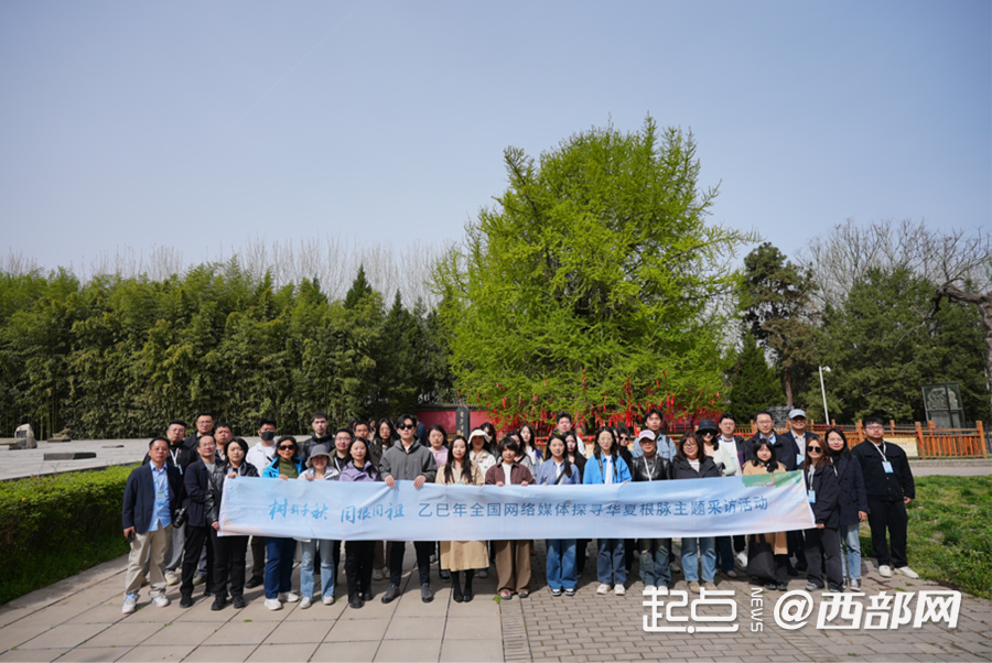 树载千秋·同根同祖｜千年古树见证文明传承 陕西楼观台创新举措守护“绿色活化石”